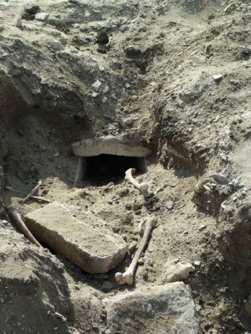 Bones outside a looted tomb